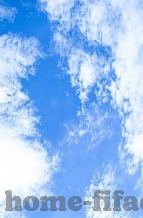 今天足球比赛比分-绿茵烽火，一场跌宕起伏的足球盛宴，比分背后的激情与思考